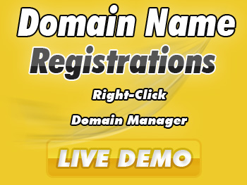 Modestly priced domain name services